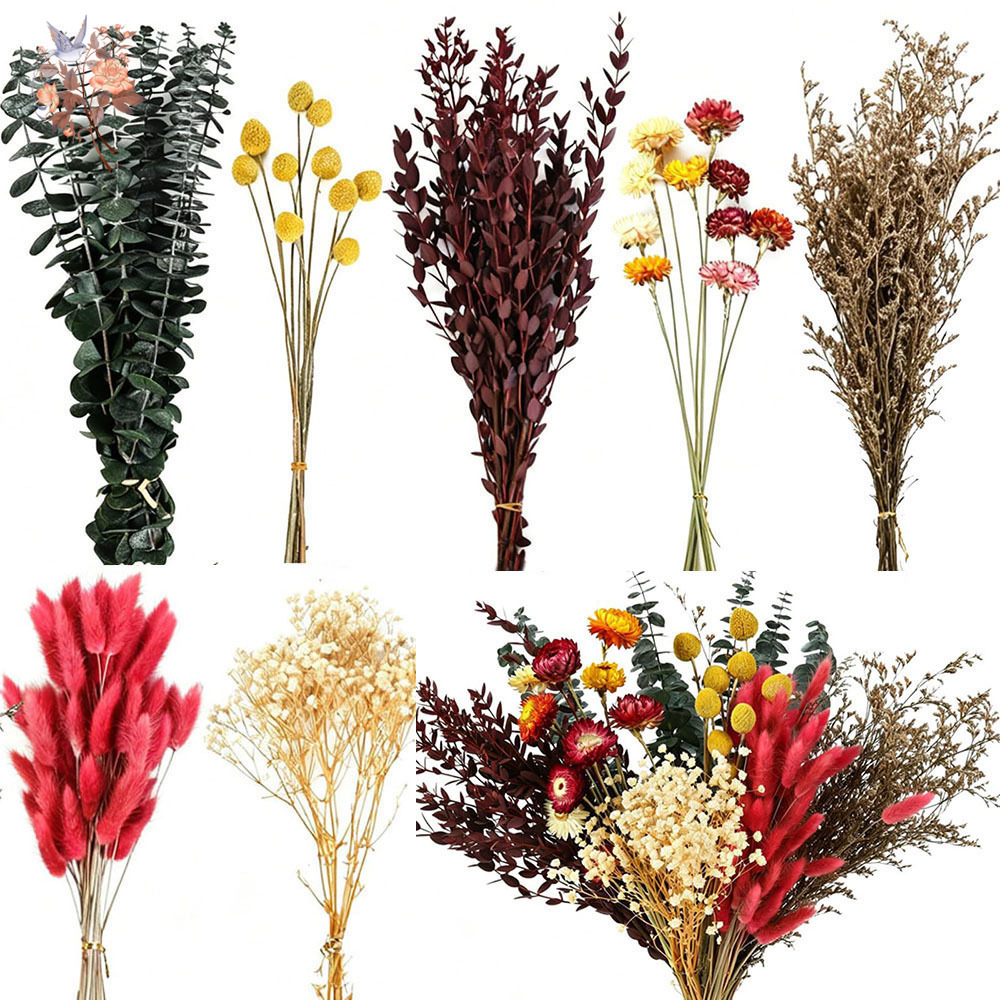 Florist Supply Bulk - Conjunto de Flores Secas a Granel,