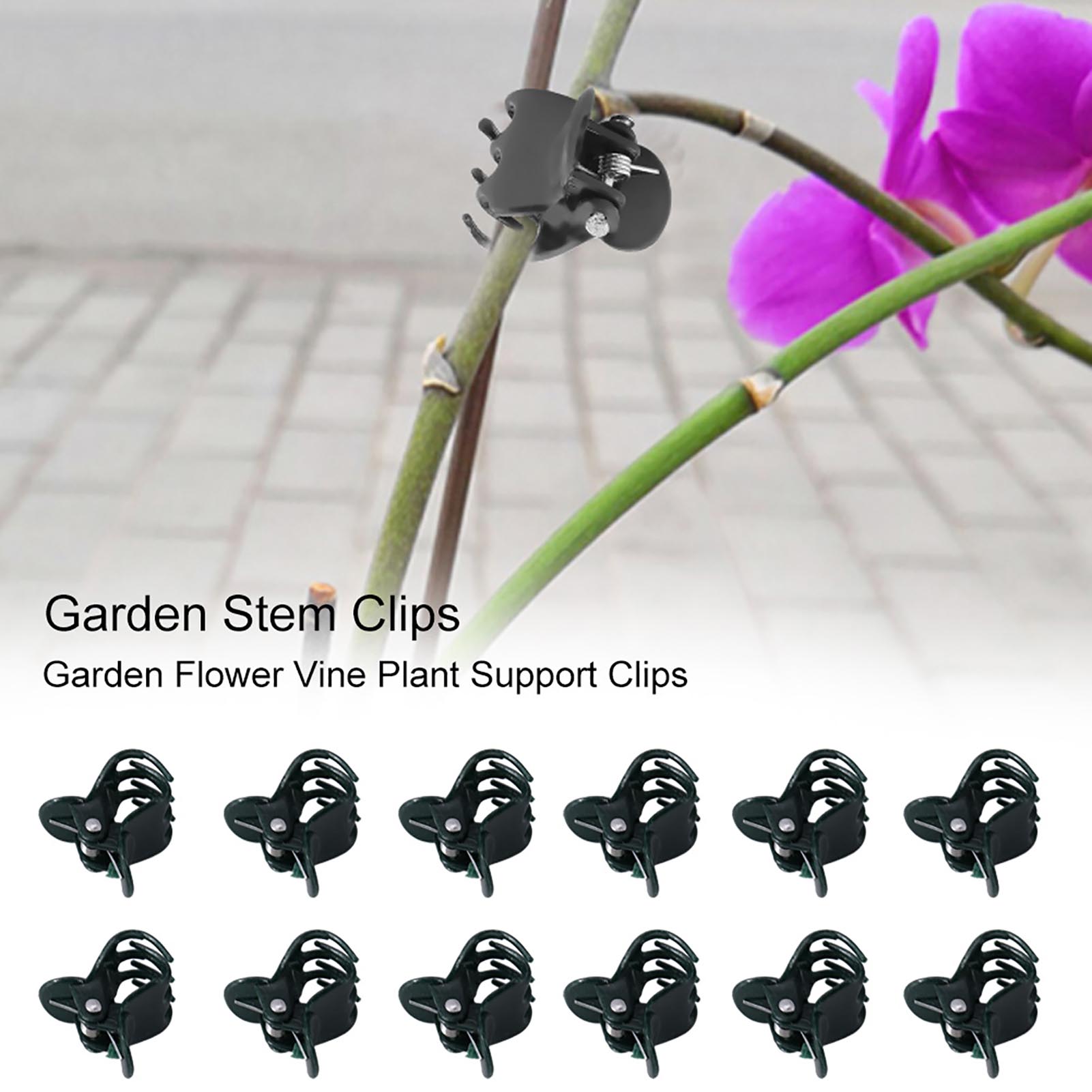 Florist Supply Bulk - 100 pçs mini clipes de plantas