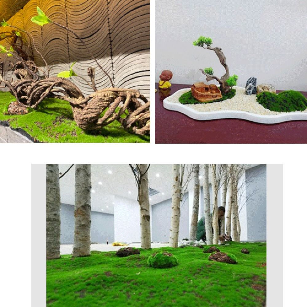 Diy falso musgo grama relvado  - Preserved Moss Sheet avaliação e preço