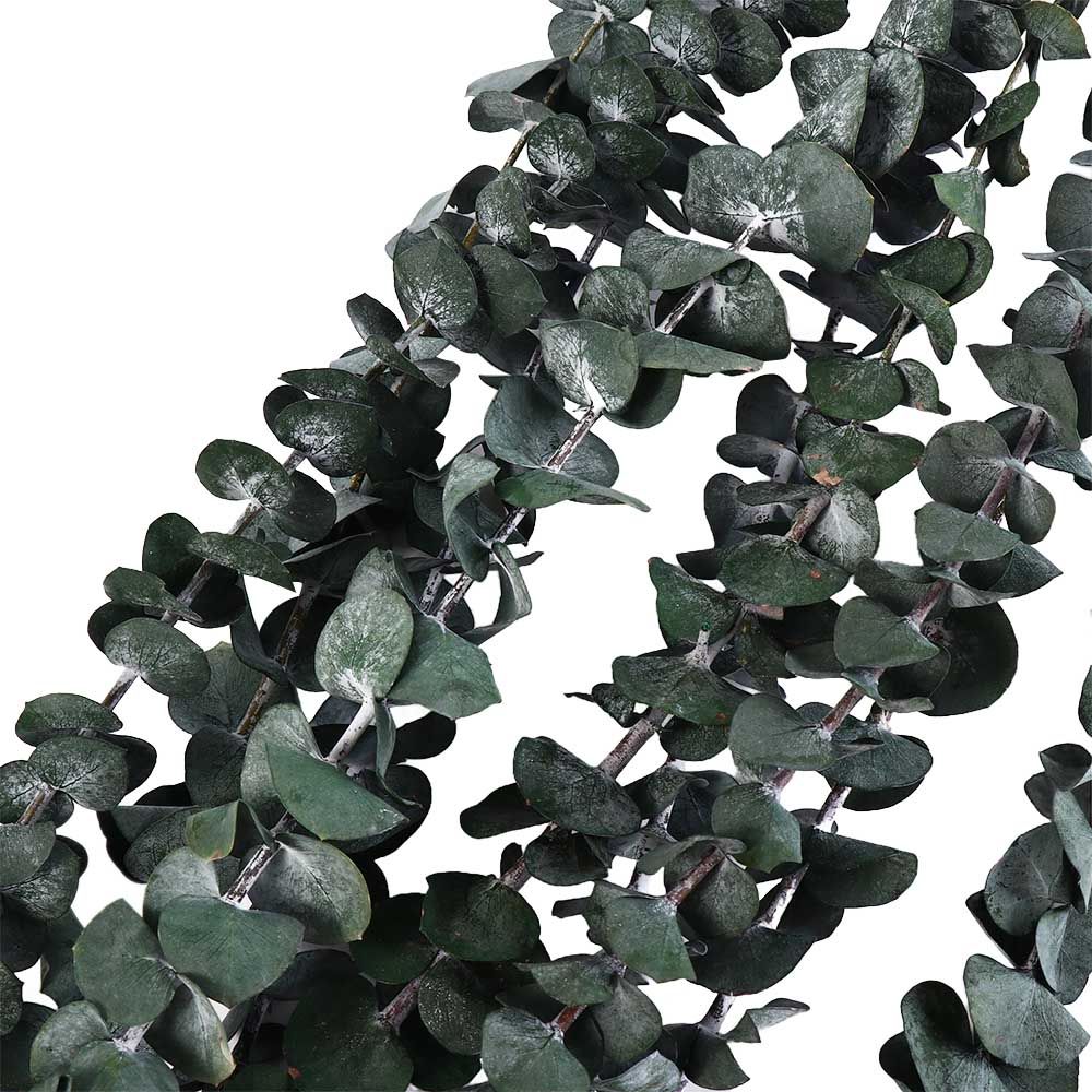 10 Peças de Folhas Naturais Se - Eucalyptus Preserved avaliação e preço
