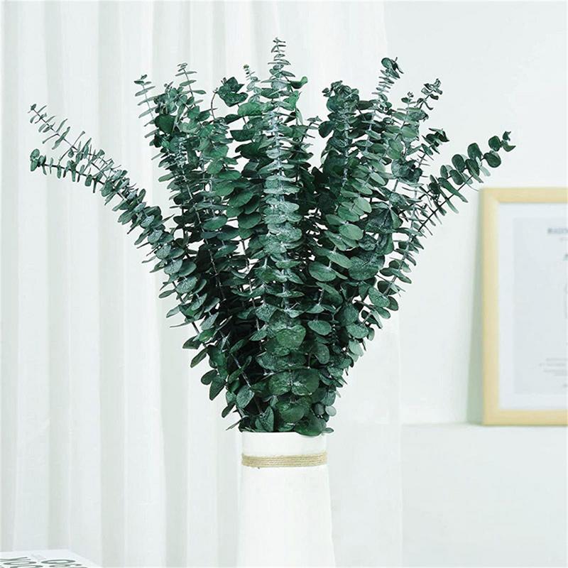 10 pçs folhas de eucalipto rea - Eucalyptus Preserved avaliação e preço