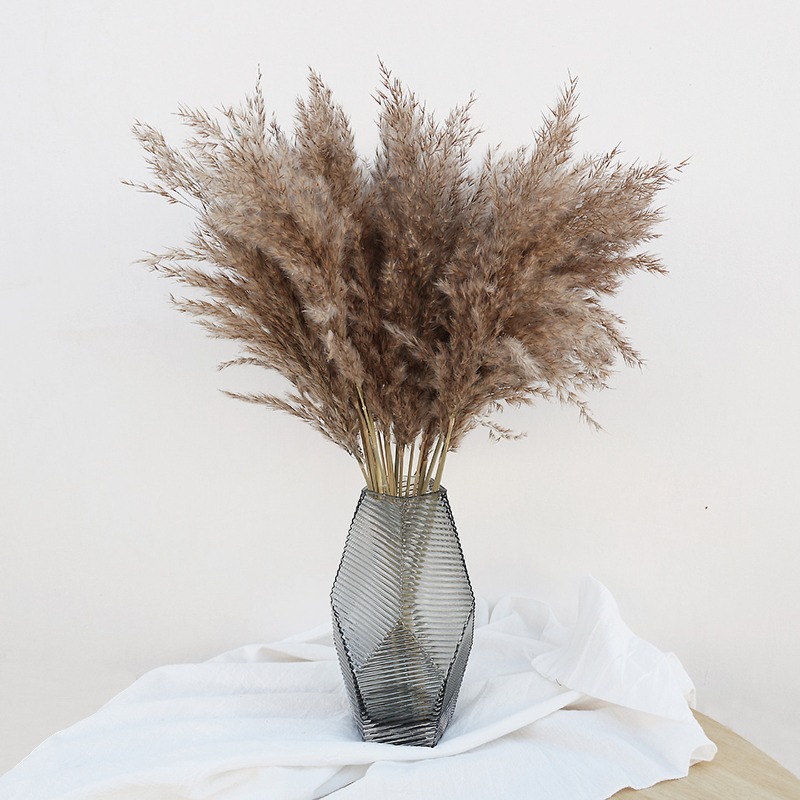 10 Peças de Capim-dos-Pampas C - Florist Supply Vases avaliação e preço