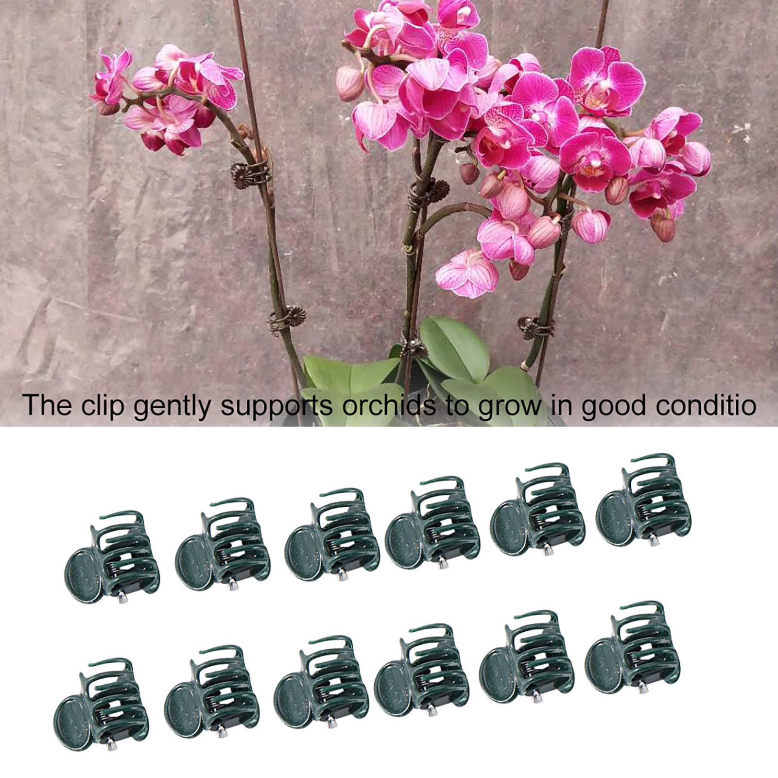 100 pçs mini clipes de plantas - Florist Supply Bulk avaliação e preço