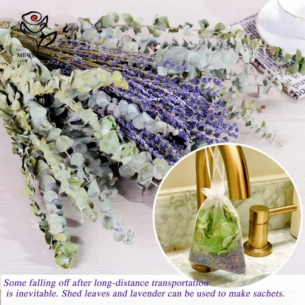 30 peças flores secas preserva - Eucalyptus Preserved avaliação e preço